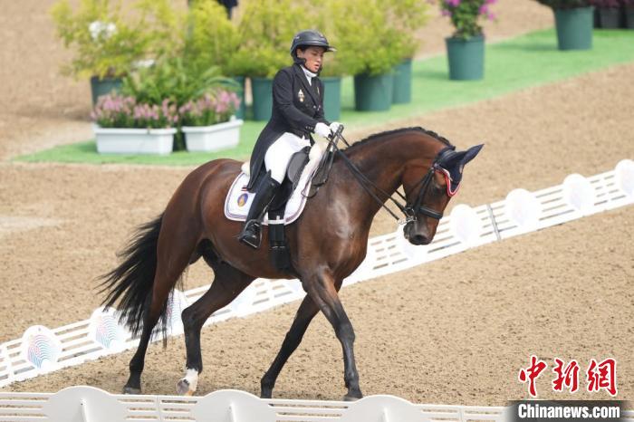 杭州亚运会马术赛收官 中国队实现金牌零突破
